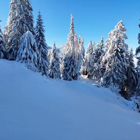 דירה Hechenblaikner *