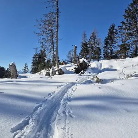아파트 Hechenblaikner 마우라흐
