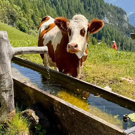 Hechenblaikner Apartament