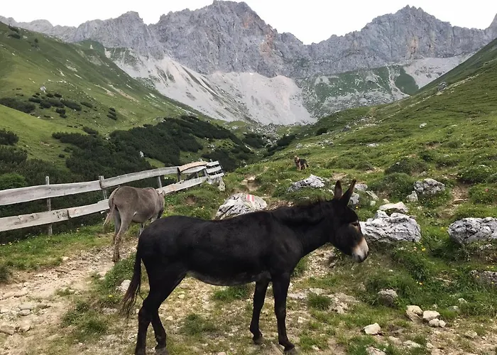 Hechenblaikner Apartment Maurach (Achensee)