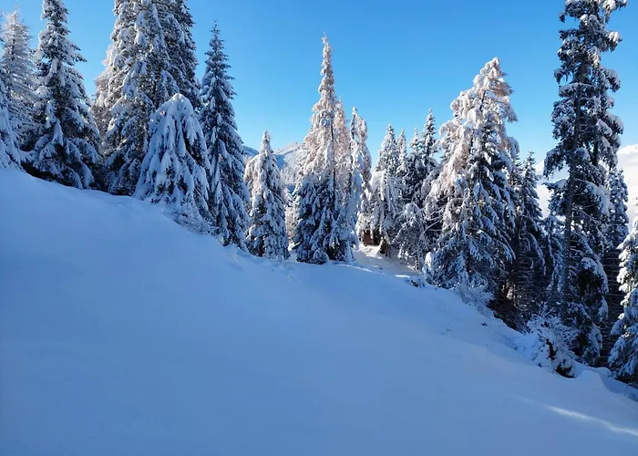 Apartment Hechenblaikner *