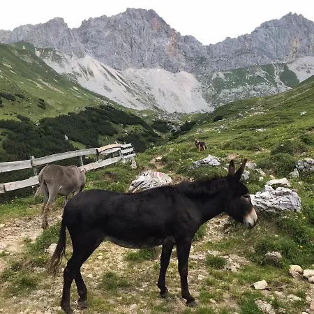 Hechenblaikner Apartment Maurach (Achensee)